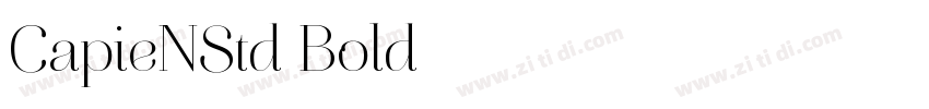CapieNStd Bold字体转换